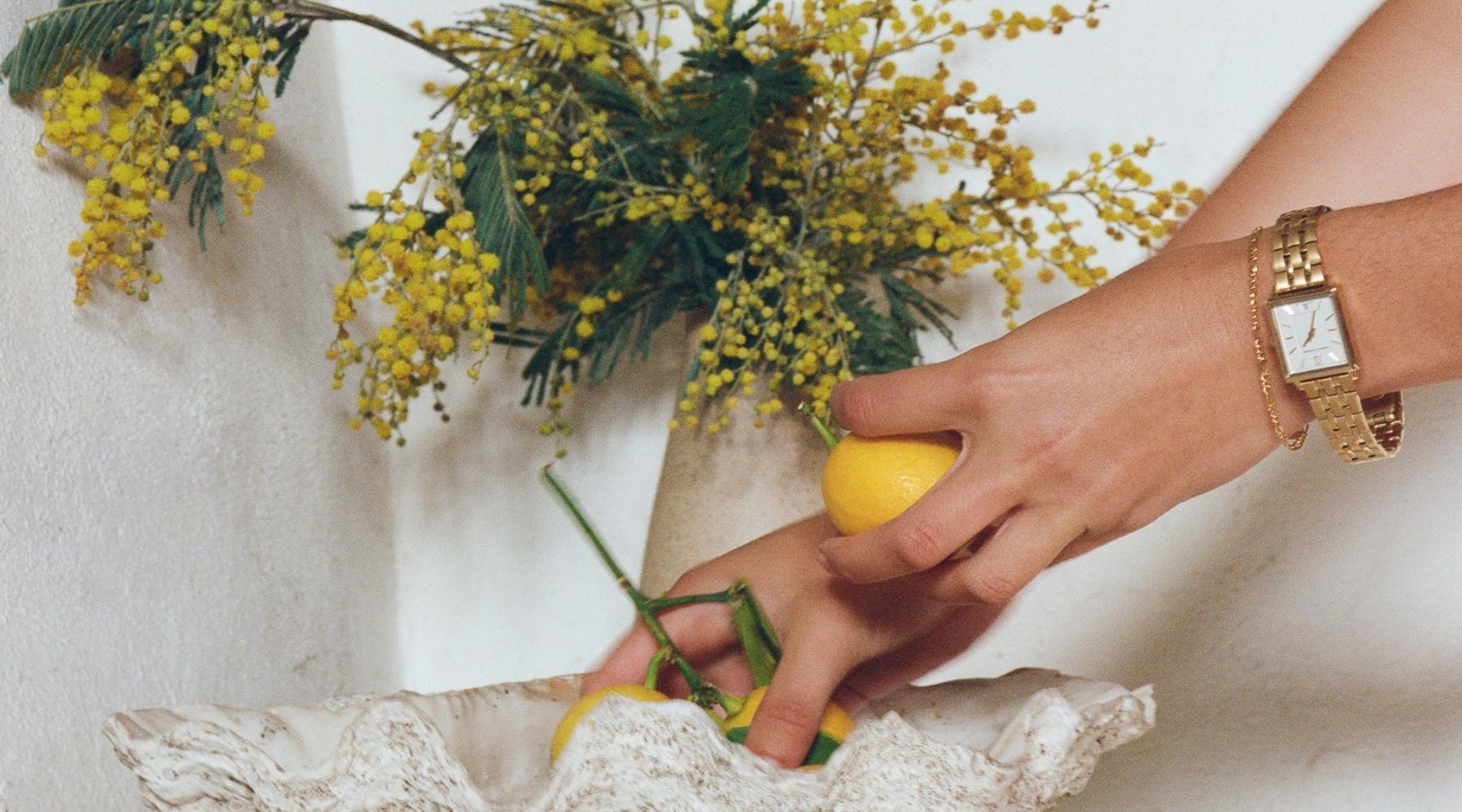 Anna's Travel Pieces - Larsson & Jennings | Official Store